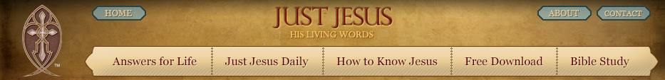 Just Jesus